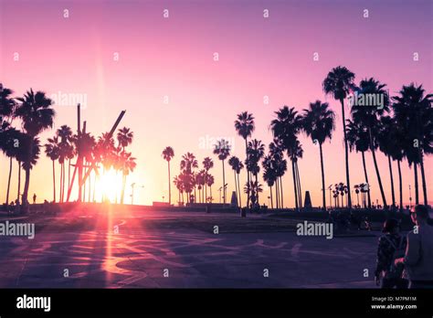 Venice Beach Sonnenuntergang Los Angeles Palm Tree Silhouette