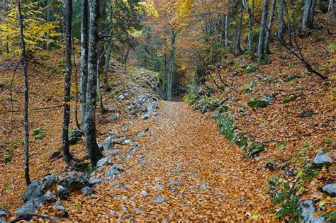Autumn Landscape In The National Park Of Triglav Slovenia Stock Image