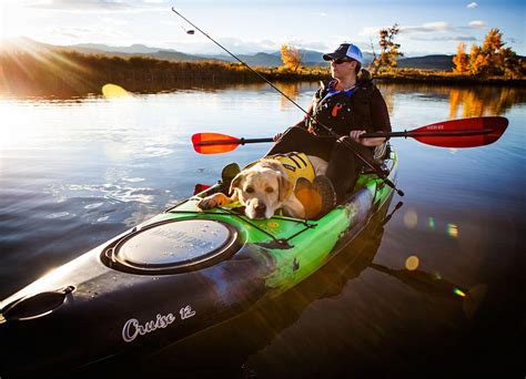 6 Tips To Take Your Pooch Canoeing Kayaking Or Suping Kayaking With