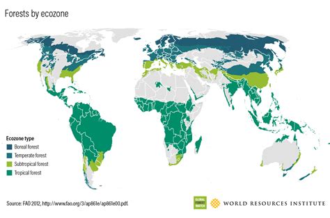 Forest Extent Global Forest Review