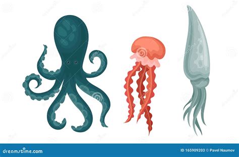 Collection Of Sea Or Ocean Creatures Octopus Squid Jellyfish Aquatic