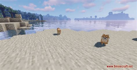 Pomeranians Resource Pack 1192 1182 Texture Pack Mc Modnet