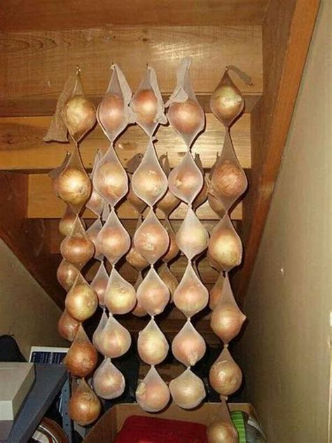 Storing Onions In Pantyhose Makes Them Last Up To 8 Months