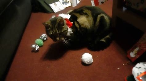 my cat lucy😻🎅🌲christmas day 2018 youtube
