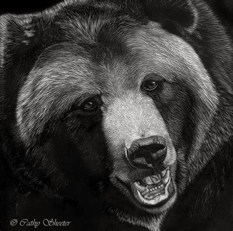 Realistic Bear Portrait Bear Face Drawing Grizzly Bear Drawing Bear