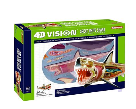 4d Vision Great White Anatomy Model Safari Ltd®