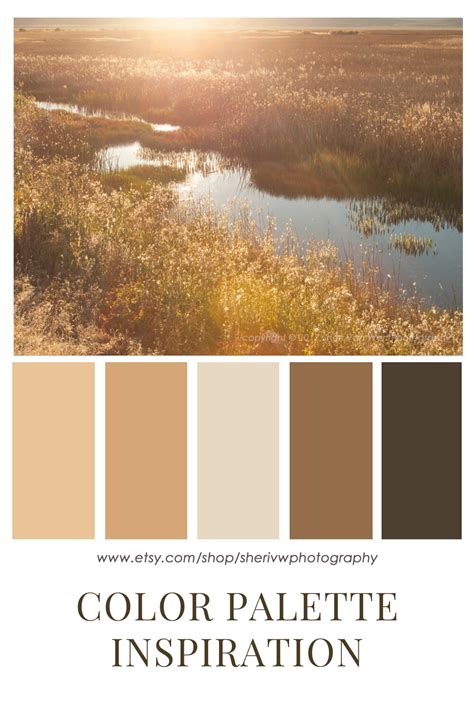 Sunrise Landscape Earth Tones Color Palette Inspiration Earth Tones