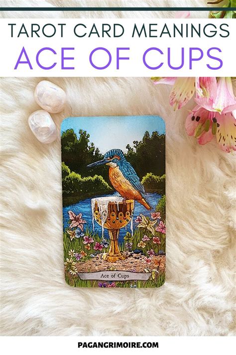 Maybe you would like to learn more about one of these? Ace of Cups — Tarot Card Meanings | Ace of cups, Cups tarot, Tarot card meanings