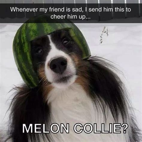May your hurts turn to healing; How To Easily Cheer Up A Friend | Cheer, Animal and Memes