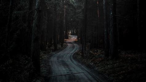 Dark Forest Road Wallpapers Top Free Dark Forest Road Backgrounds