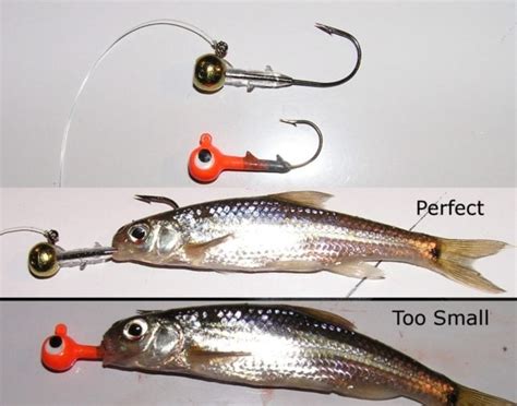 Walleye Fishing Tip Picking The Right Jig For The Job Explore