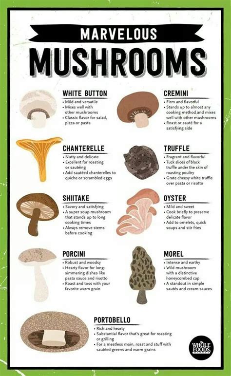 Mushroom Types Cooking 101 Cooking Basics Cooking And Baking Cooking