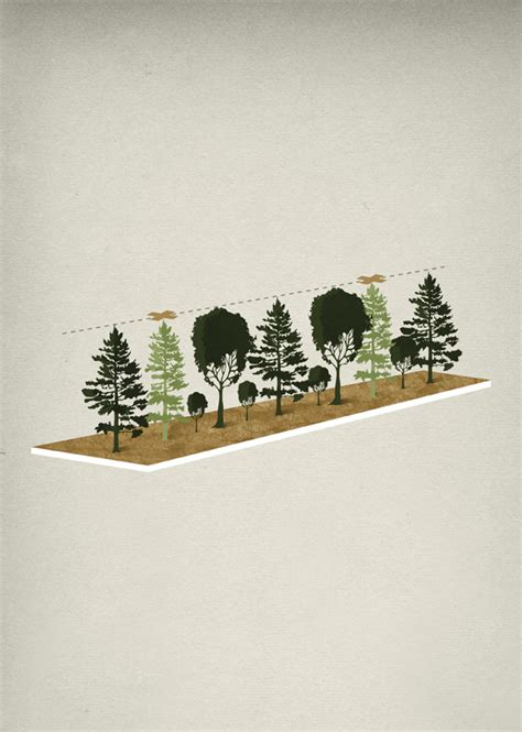 Bavarian Forestry On Behance Tree Illustration Poster Design Layout