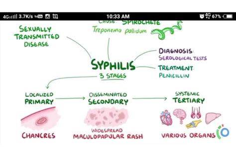 Pathophysiology Of Gonorrhea Diagram