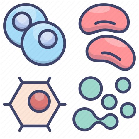 Biology Cell Cells Human Icon Download On Iconfinder