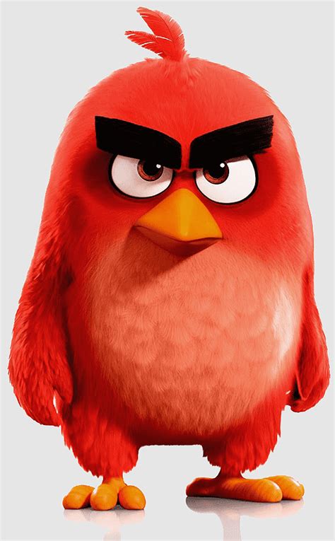 Angry Birds Stella Angry Birds Toons Angry Birds Movie Angry Birds Anger Comedy Owl Bird