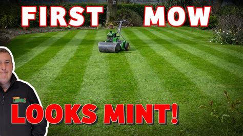 Cutting My Lawn For The First Time With A Cylinder Mower 35mm 20mm