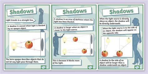 Shadows Information Display Posters Teacher Made Twinkl