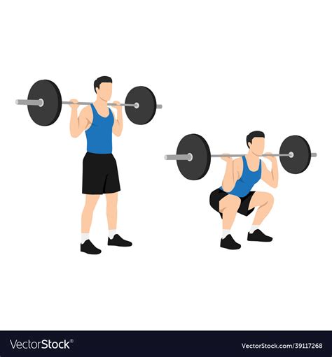 Man Doing Barbell Squat Exercise Royalty Free Vector Image