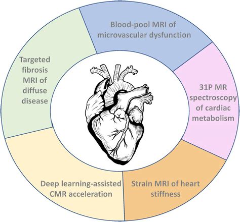 Frontiers | Emerging MRI techniques for molecular and functional