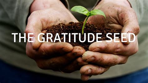 The Gratitude Seed With Voice A Guided Meditation For Sleep And