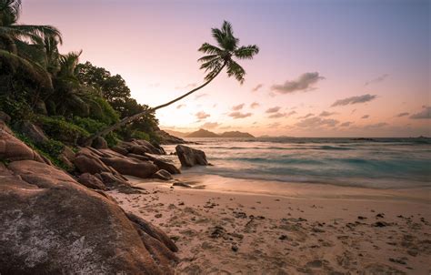 Wallpaper Beach Sunset Palm Trees The Ocean Shore Images For Desktop Section природа Download