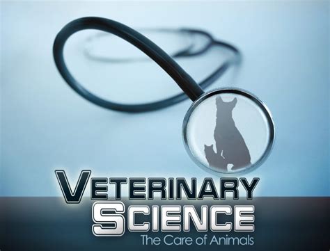 Frontiers in veterinary science publishes articles on outstanding discoveries across a wide spectrum of translational, foundational, and clinical research. Veterinary Science: The Care of Animals | eDynamic Learning