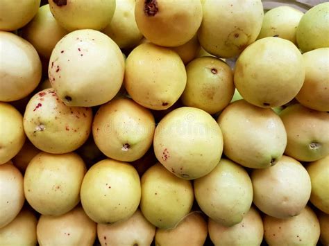 Rows Of Yellow Guavas Stock Photo Image Of Food Market 106010462