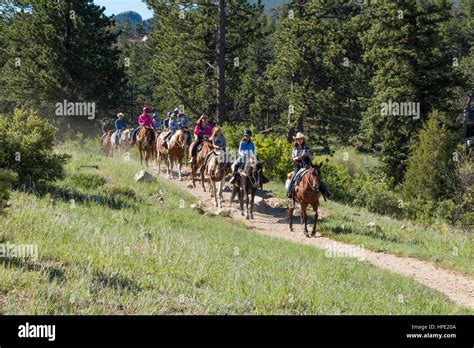 Guided Horseback Riding Tour Through The Valleys Of The Rocky Mountain