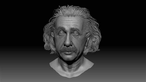 Albert Einstein 3d Portrait For A Hologram Facial Animation Rigging