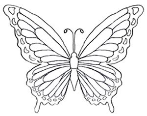 This one is sure to make kids go crazy with their colors. Butterfly Coloring Page - Dr. Odd