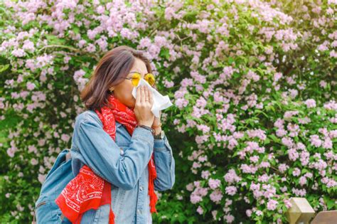 Tips For Avoiding Seasonal Allergies For Seniors Bethesda Health Group