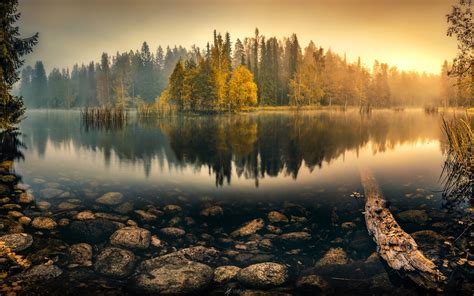 Tranquil Morning Lake Wallpapers Wallpaper Cave