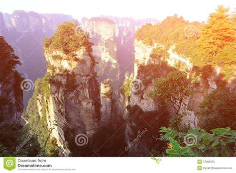 Mountain Landscape Of Zhangjiajie Stock Image Image Of Looking Cliff