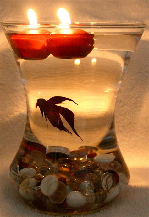 Beta Fish Bowl Wedding Reception Centerpiece | I have decide… | Flickr