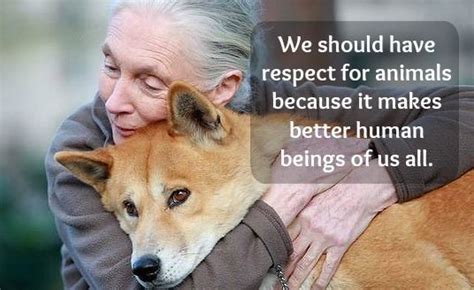 These Amazing Jane Goodall Quotes Will Inspire You To Fight For Animals