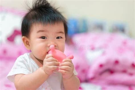 Asian Infant Girl Biting Teether Baby Growing First Tooth Stock Image