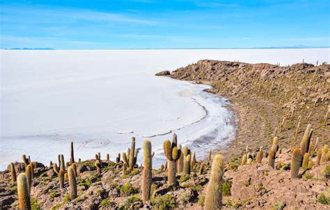 Salt Flats In Bolivia 15 Things You Need To Know Before You Go