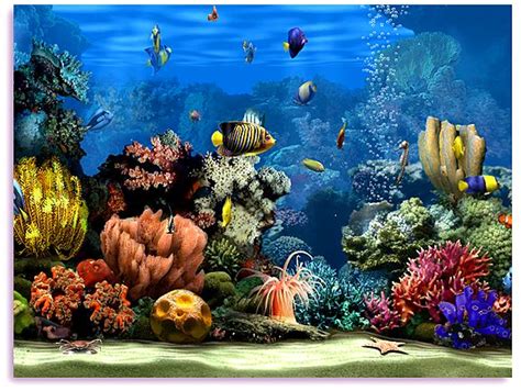 Free Download Screensaver Living Marine Aquarium 2 3d Screensaver Fish