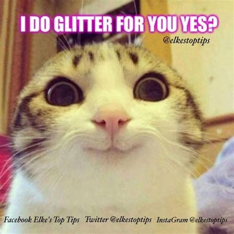 18 Best Meow Meow Phrases Images On Pinterest Funny Kitties Kitty