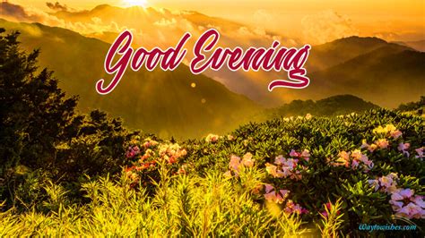 Good Evening Nature | Good evening sms, Good evening, Happy evening