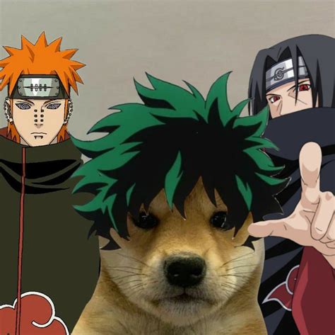 Perrodog Doge Memes Anime Funny Dog Icon