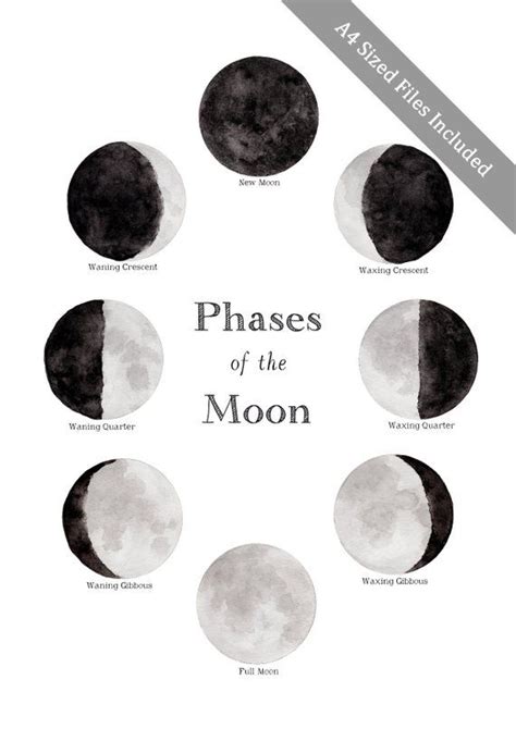 Southern Hemisphere Phases Of The Moon Print Home School Printable