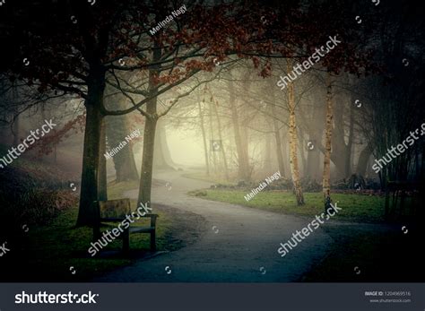 Path Dark Scary Forest Night Surreal Stock Photo 1204969516 Shutterstock