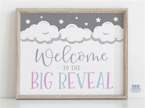 Gender Reveal Decorations Gender Reveal Party Signs Welcome To The