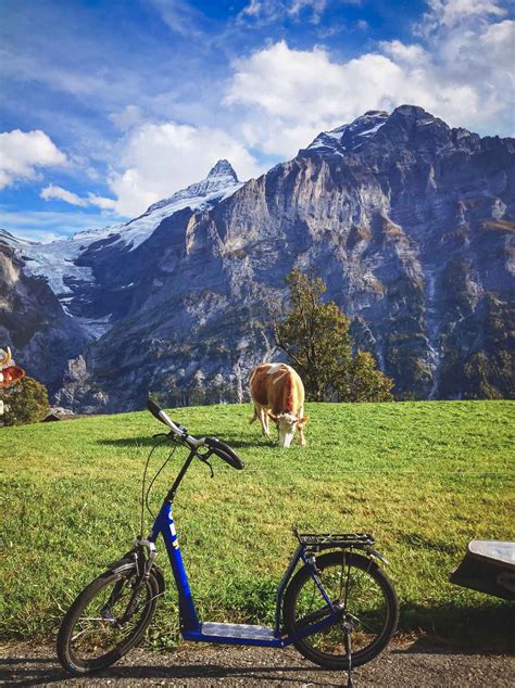 The Complete Guide To Grindelwald First In Switzerland Travellyclub