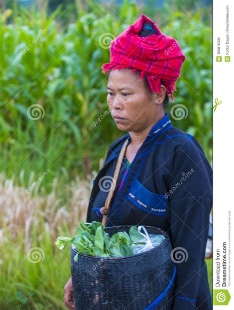 Portrait Of Pao Tribe Woman In Myanmar Editorial Photo Image Of