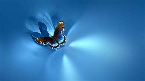 Here you can find the best blue background wallpapers uploaded by our community. Blue Butterfly Wallpaper 09921 - Baltana