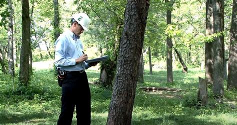 The Vital Role Of A Certified Arborist In Tree Risk Assessment
