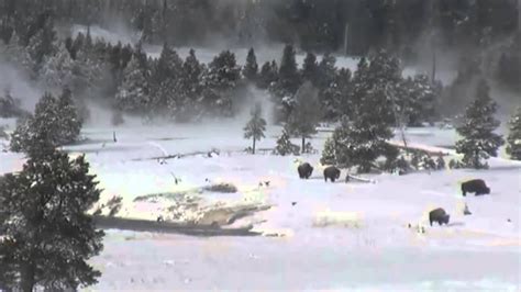 Bigfoot In Yellowstone National Park Breakdown Youtube